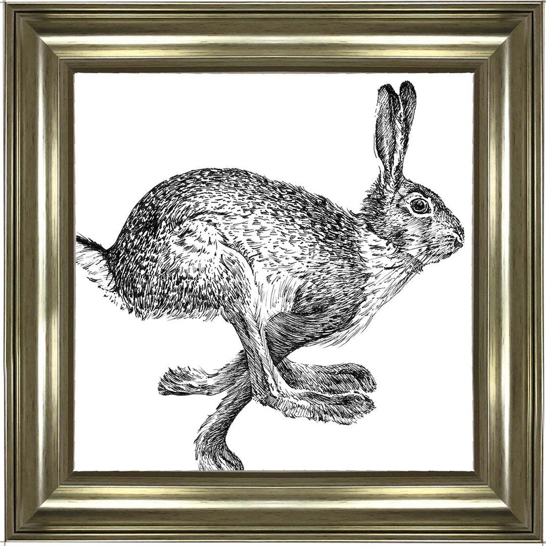 AN1515 BUNNY RABBIT II