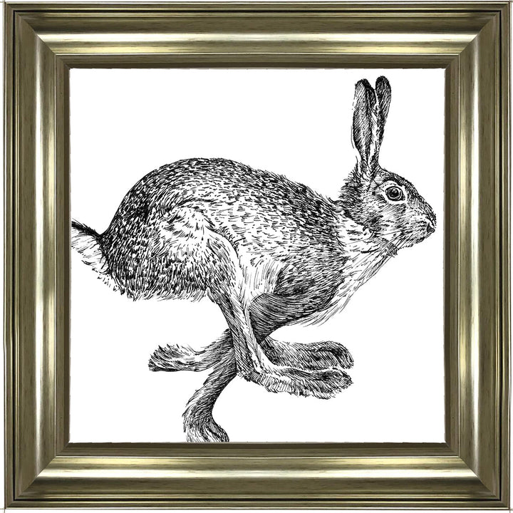 AN1515 BUNNY RABBIT II