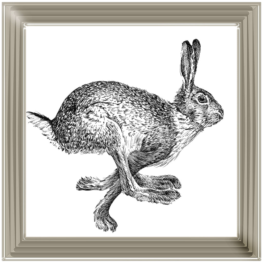 AN1515 BUNNY RABBIT II