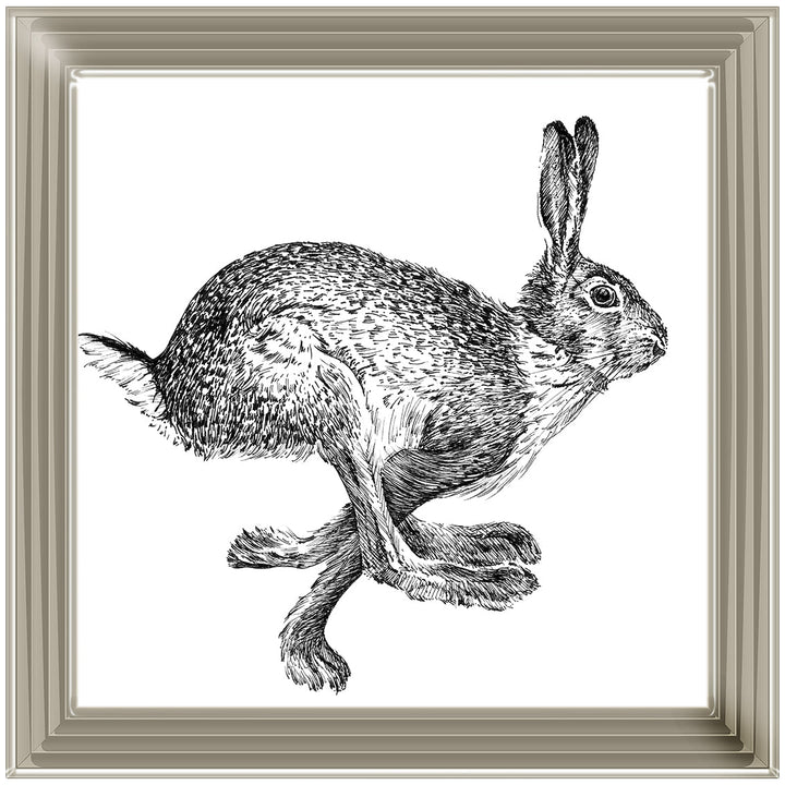AN1515 BUNNY RABBIT II