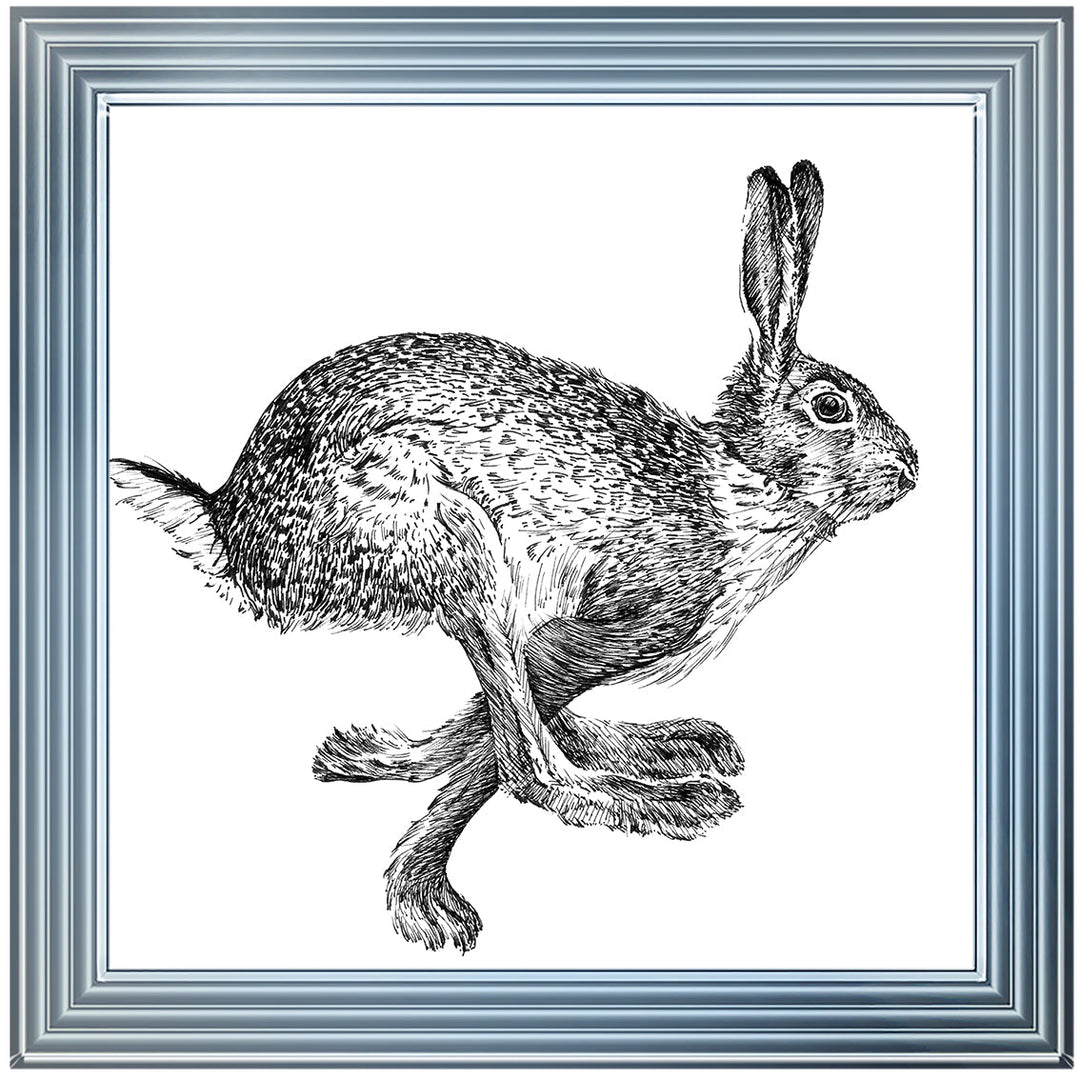 AN1515 BUNNY RABBIT II