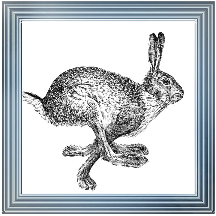 AN1515 BUNNY RABBIT II