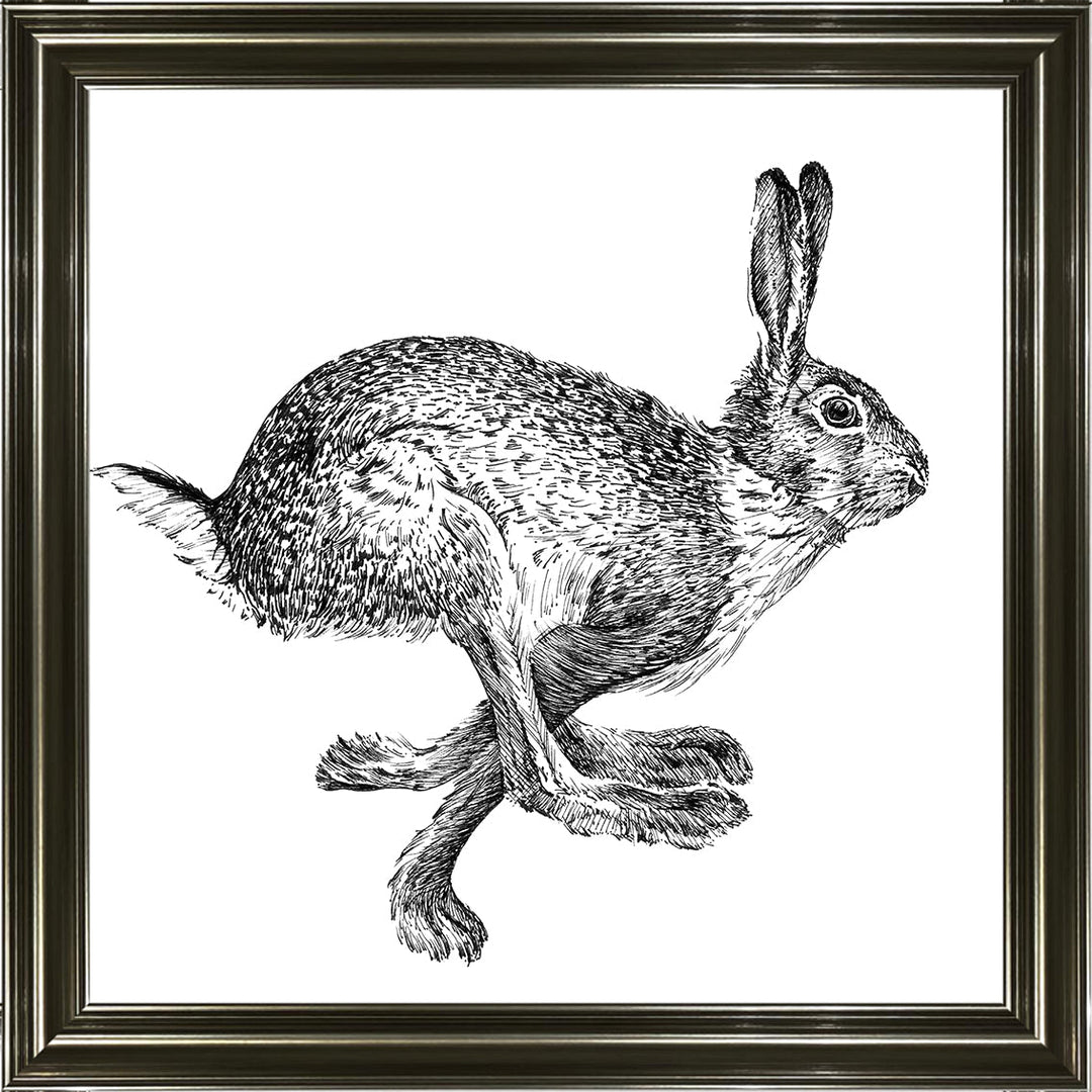 AN1515 BUNNY RABBIT II
