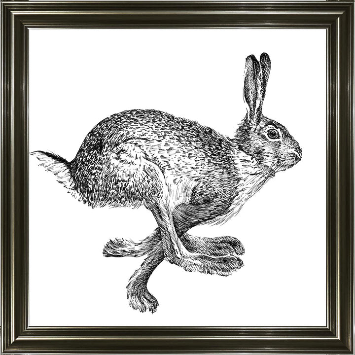 AN1515 BUNNY RABBIT II