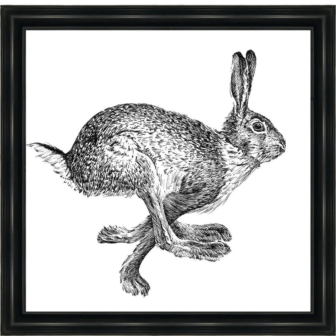 AN1515 BUNNY RABBIT II