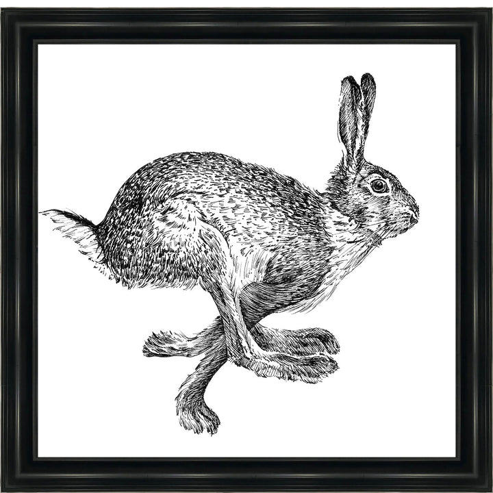 AN1515 BUNNY RABBIT II