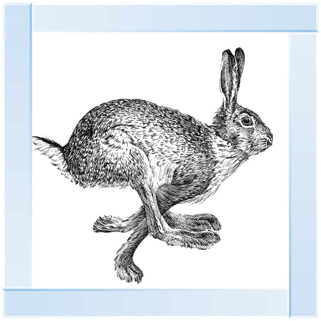 AN1515 BUNNY RABBIT II