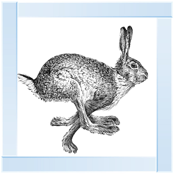 AN1515 BUNNY RABBIT II