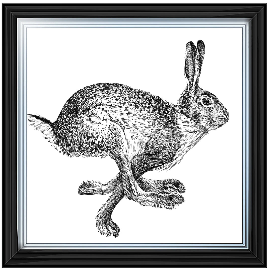 AN1515 BUNNY RABBIT II