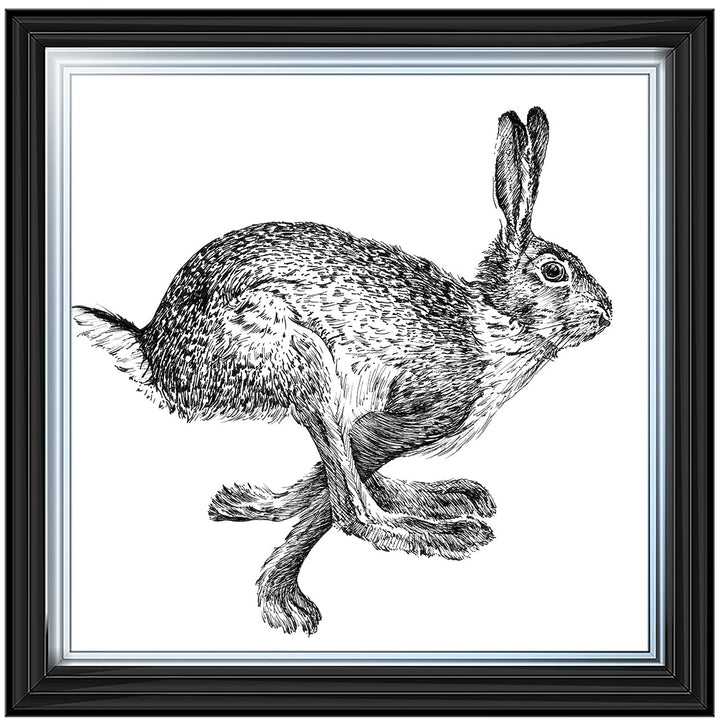AN1515 BUNNY RABBIT II