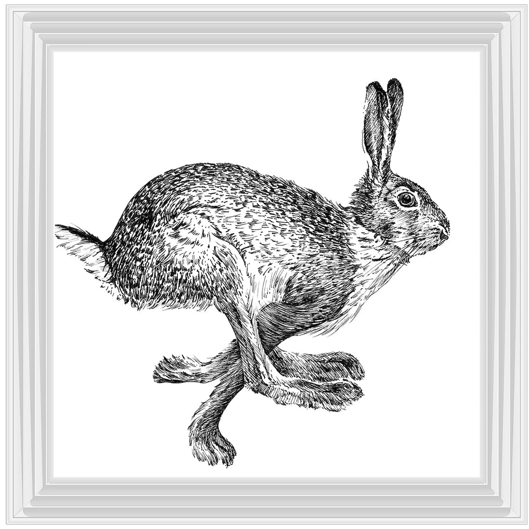 AN1515 BUNNY RABBIT II