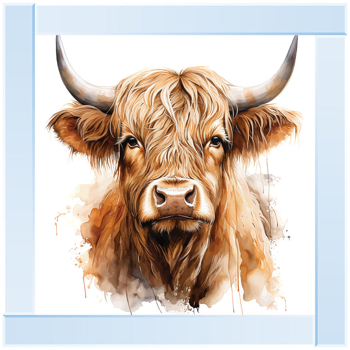 AN1522 HIGHLAND COW