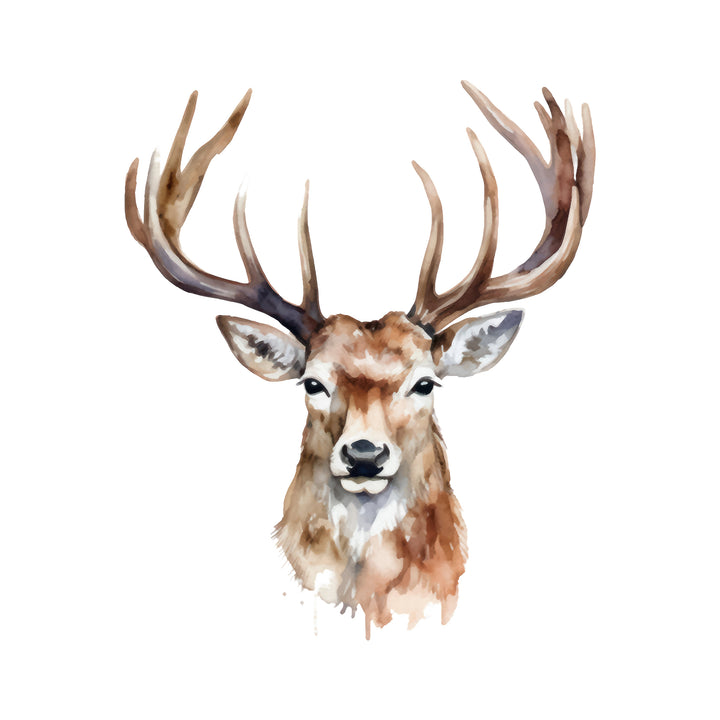 AN1524 STAG