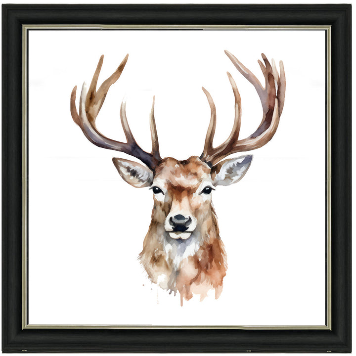 AN1524 STAG