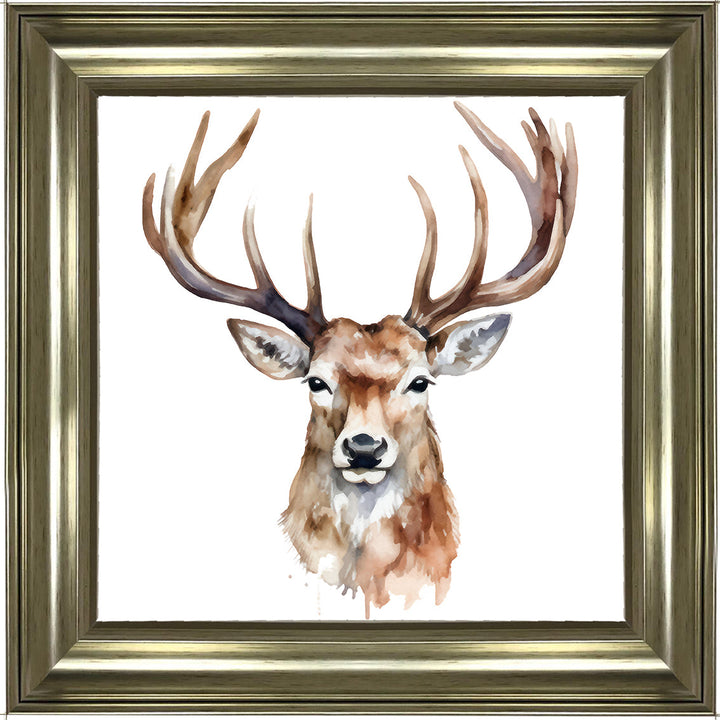 AN1524 STAG