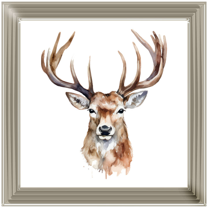 AN1524 STAG