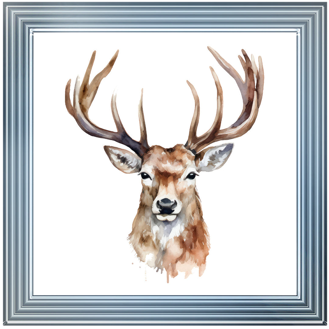 AN1524 STAG