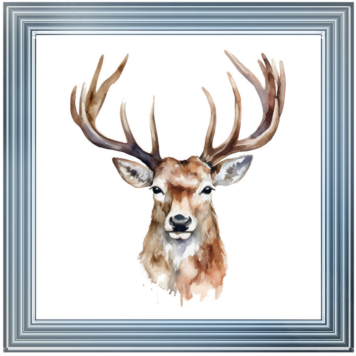 AN1524 STAG