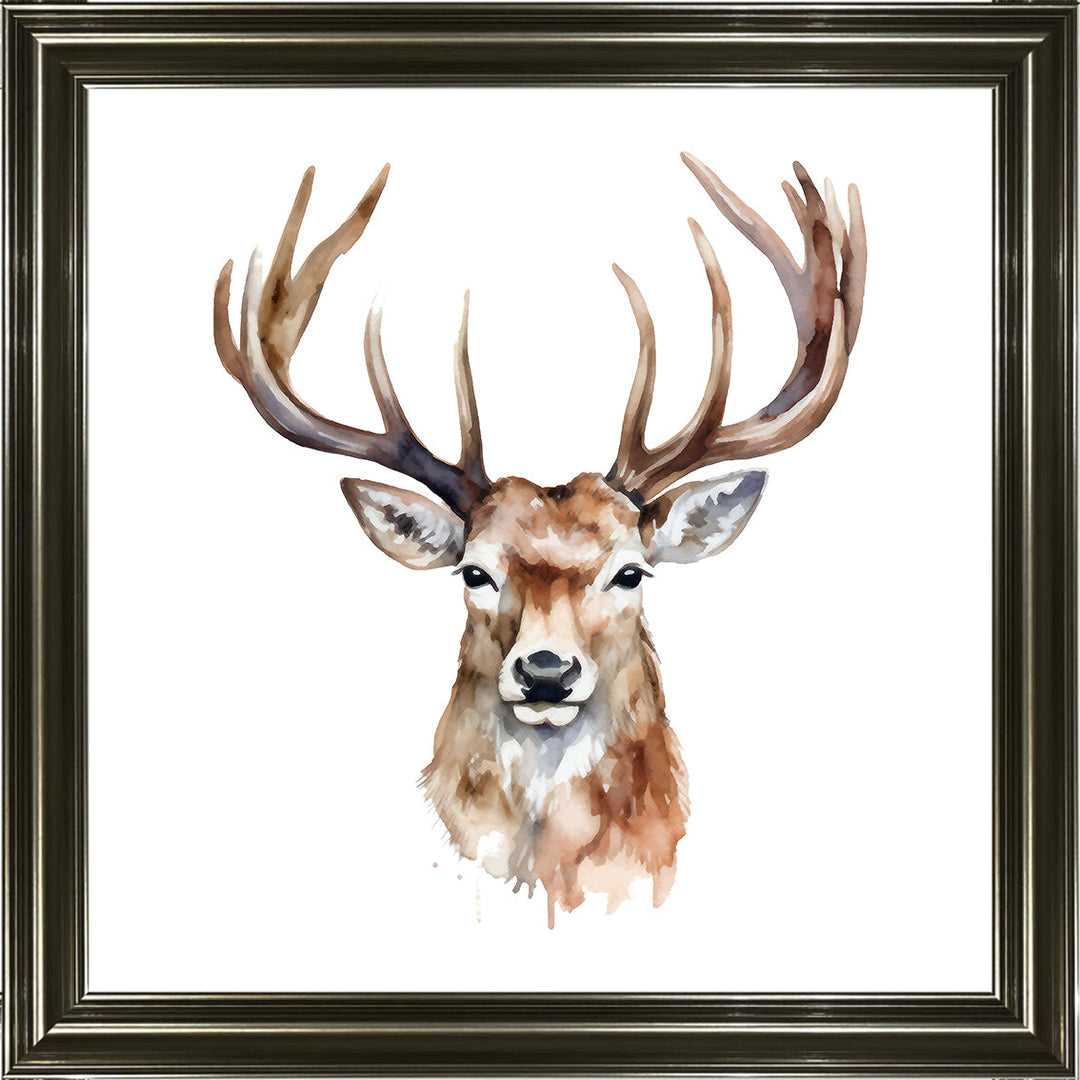 AN1524 STAG