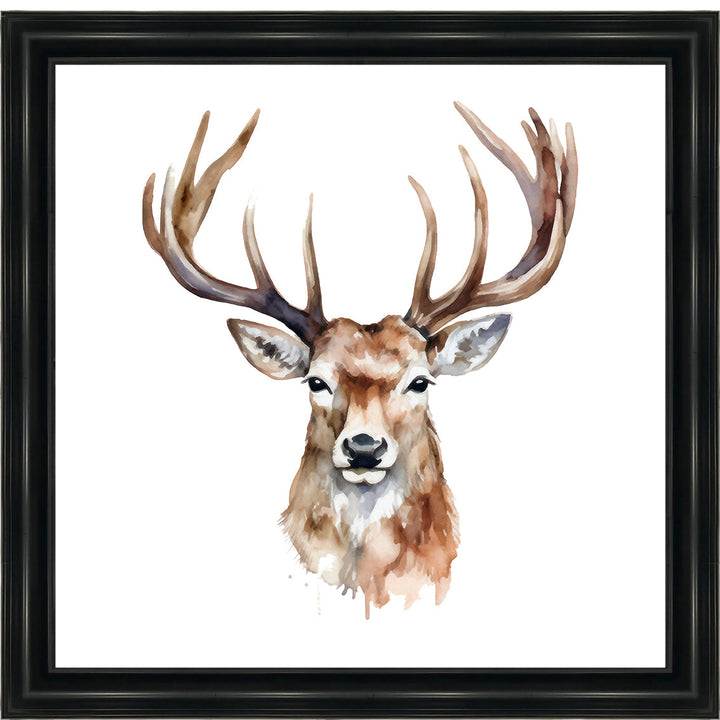 AN1524 STAG