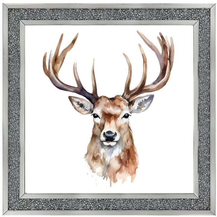 AN1524 STAG