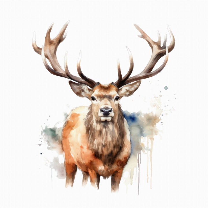AN1525 DEER I