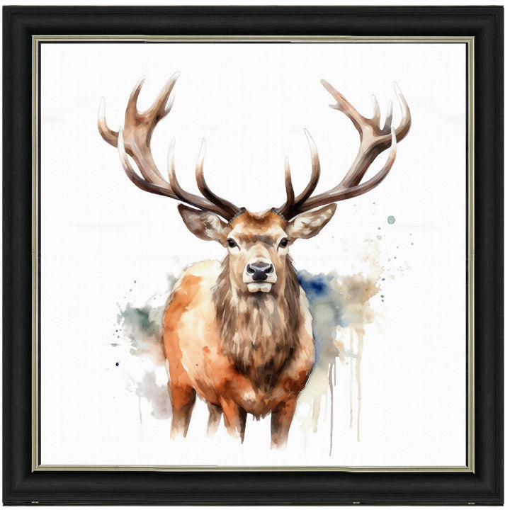 AN1525 DEER I