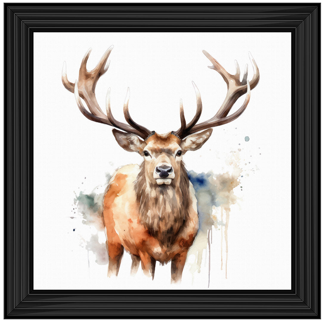AN1525 DEER I