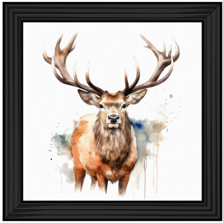 AN1525 DEER I