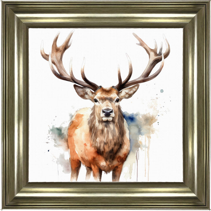 AN1525 DEER I