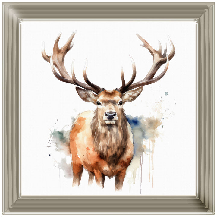 AN1525 DEER I