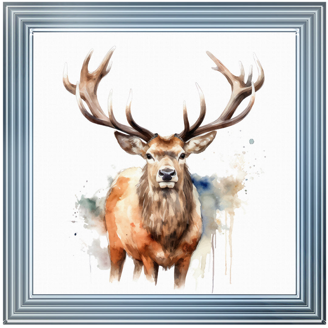AN1525 DEER I