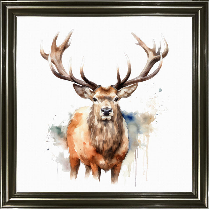 AN1525 DEER I