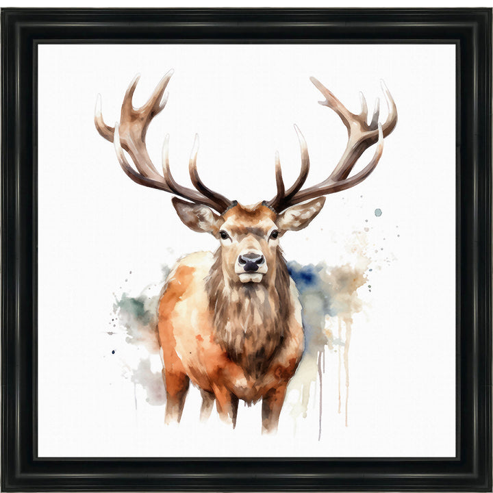 AN1525 DEER I
