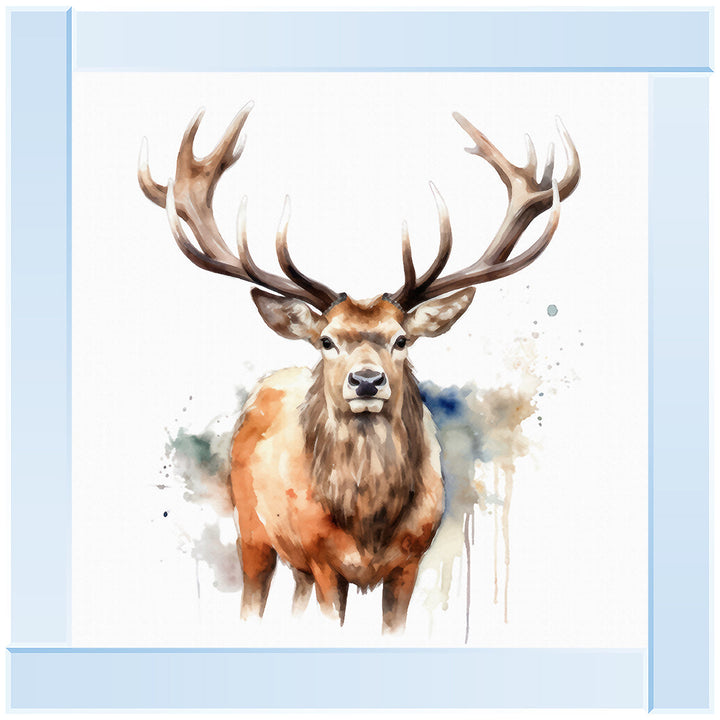 AN1525 DEER I