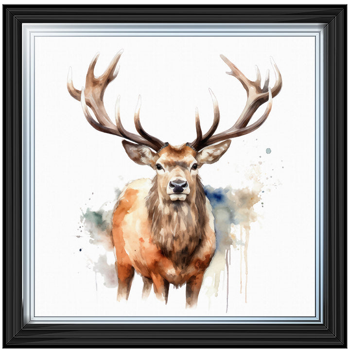 AN1525 DEER I