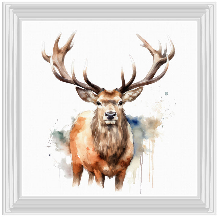 AN1525 DEER I