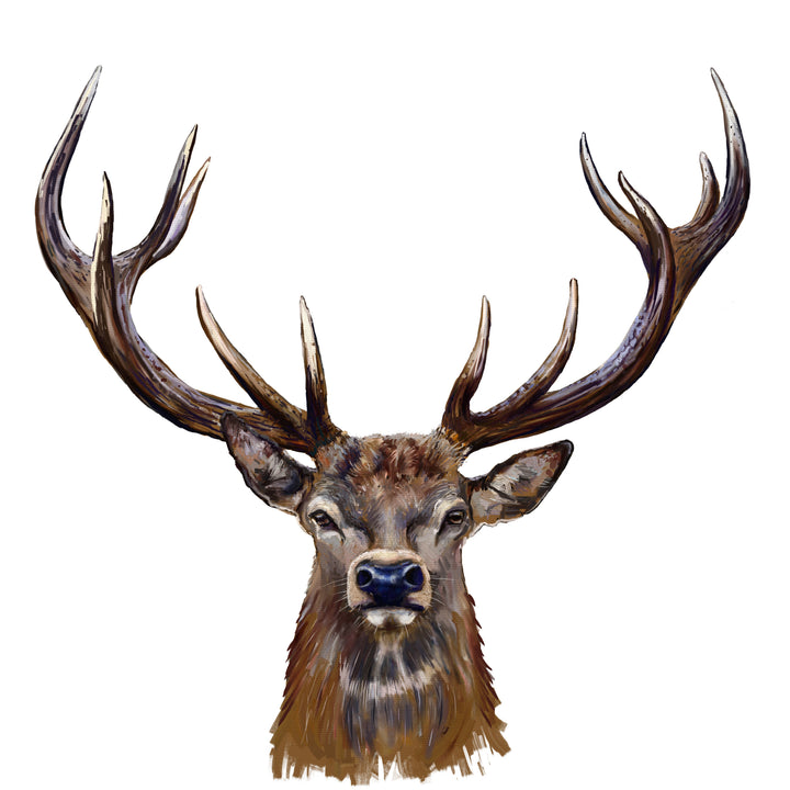 AN1529 STAG III