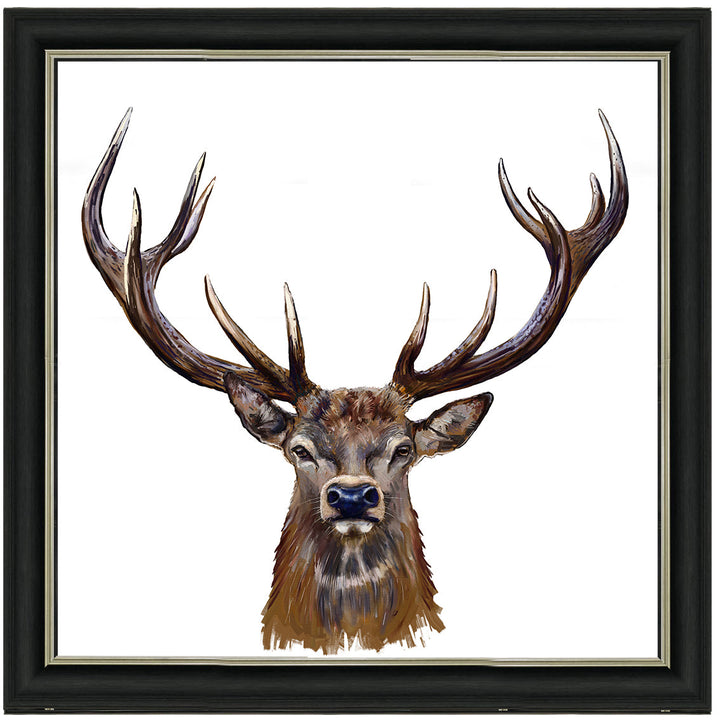 AN1529 STAG III