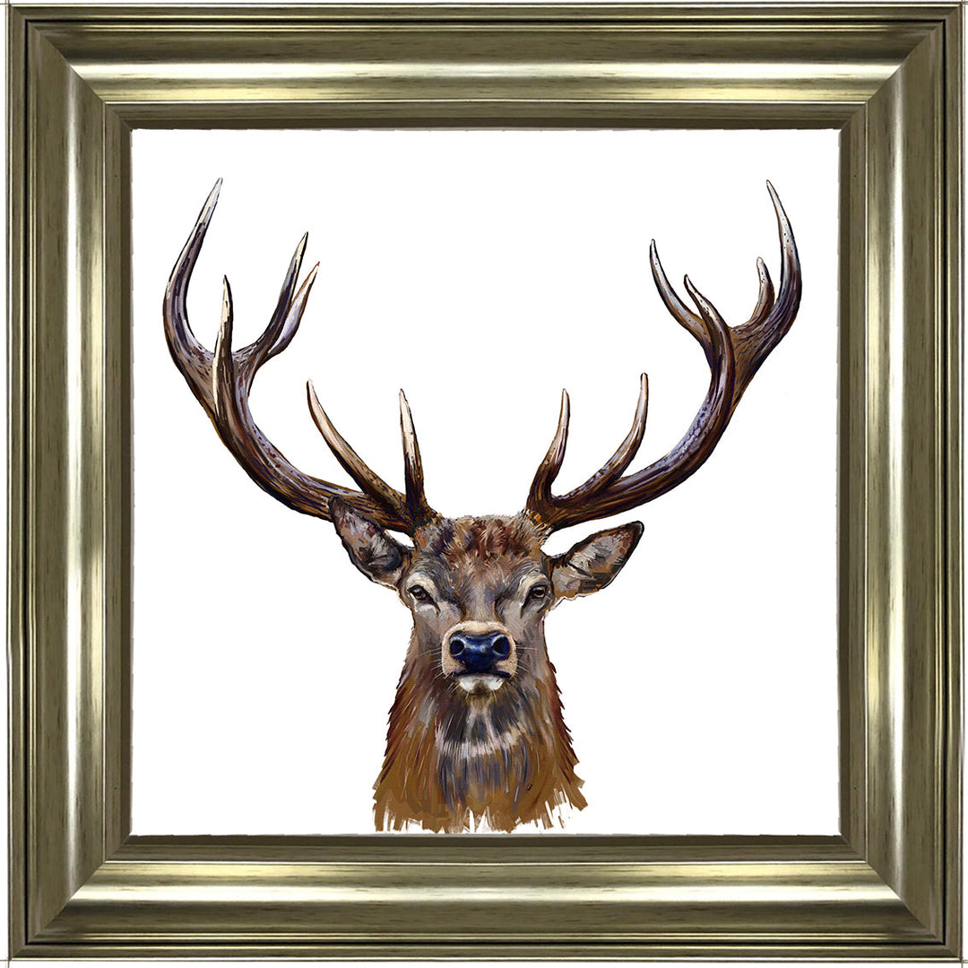 AN1529 STAG III