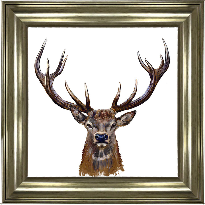 AN1529 STAG III