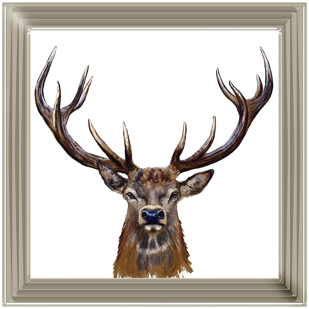 AN1529 STAG III