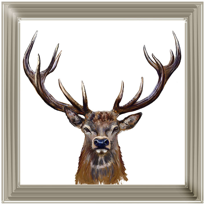 AN1529 STAG III