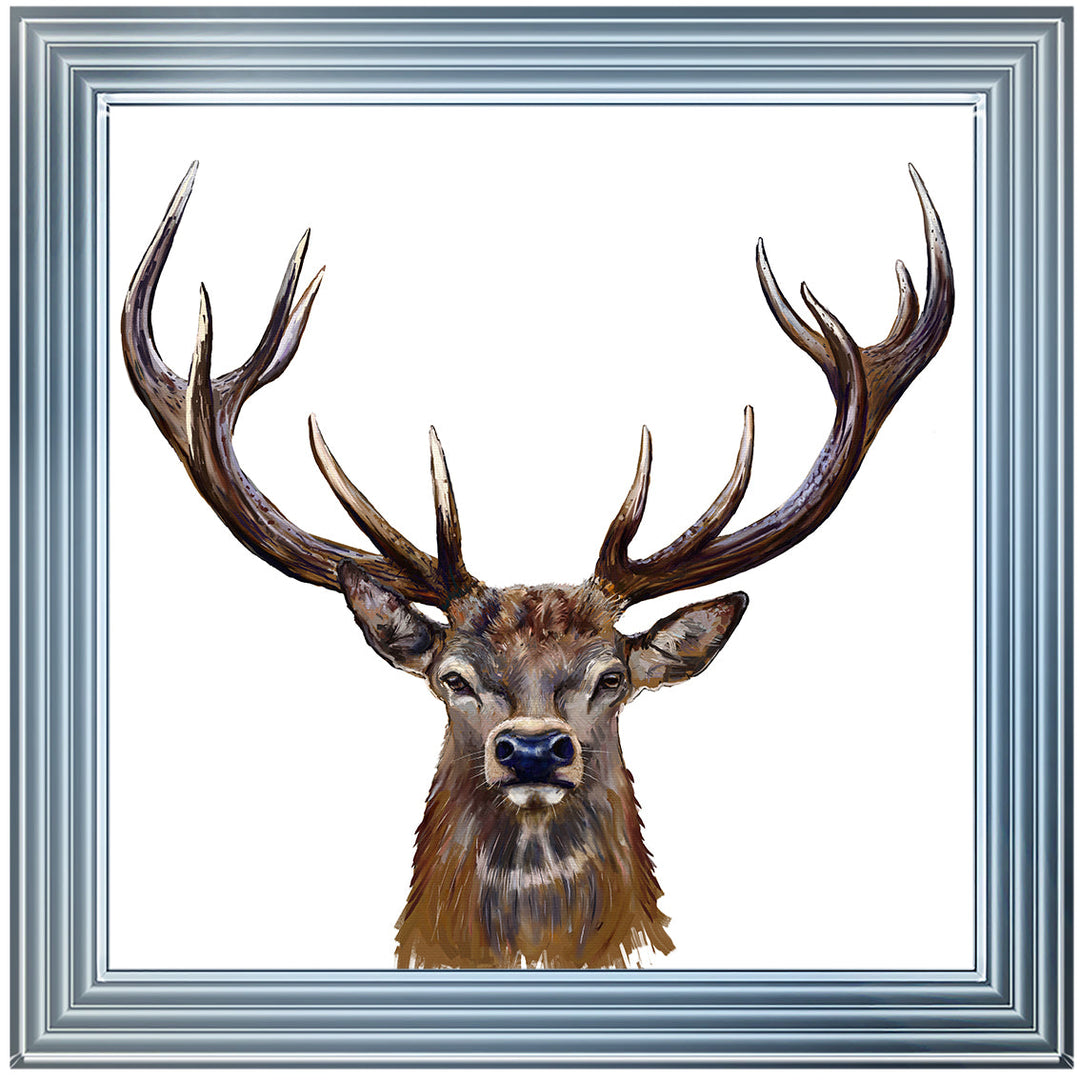 AN1529 STAG III