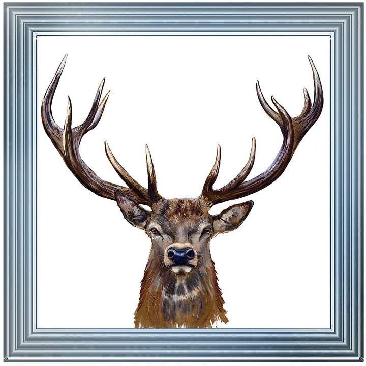 AN1529 STAG III