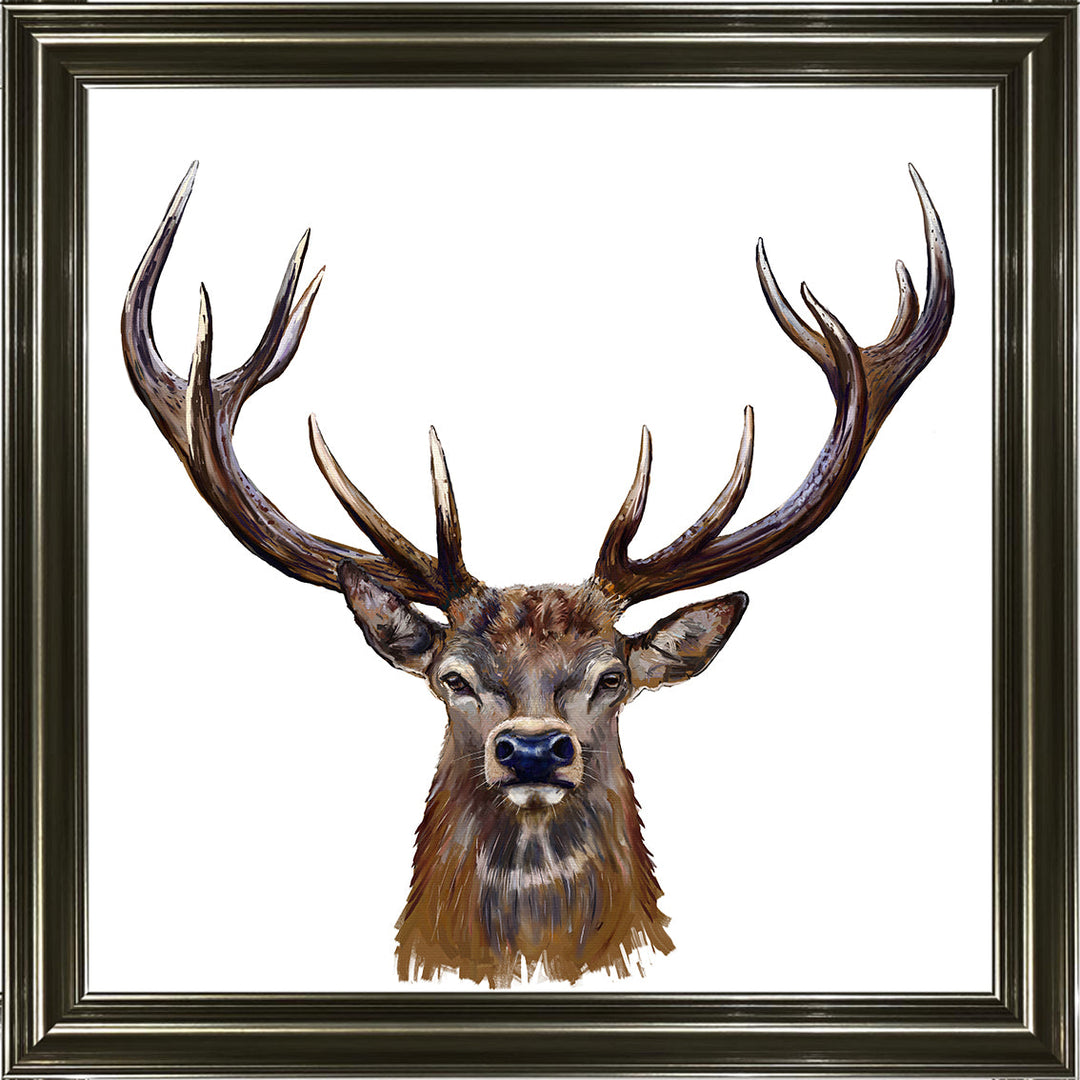 AN1529 STAG III
