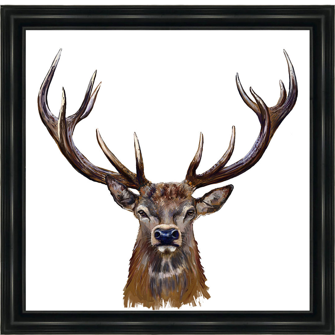 AN1529 STAG III