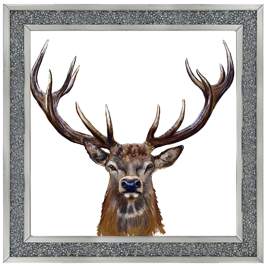 AN1529 STAG III
