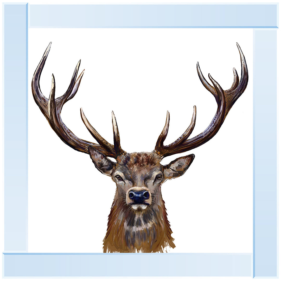 AN1529 STAG III