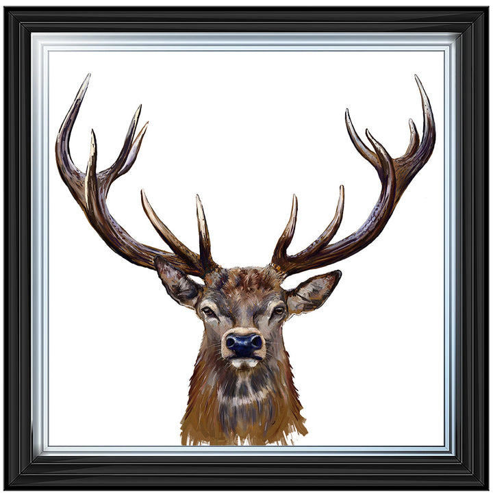 AN1529 STAG III